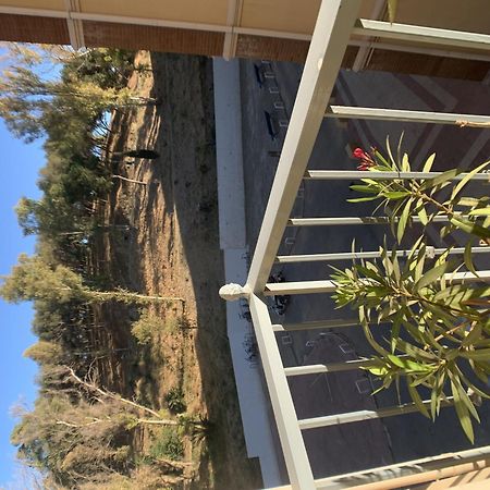 Mundo Nuevo Malaga Centro Apartman Kültér fotó